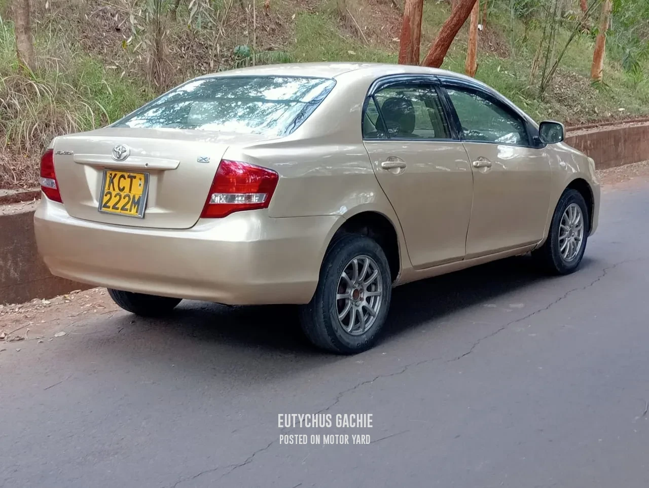 Toyota Axio 2010 Bronze