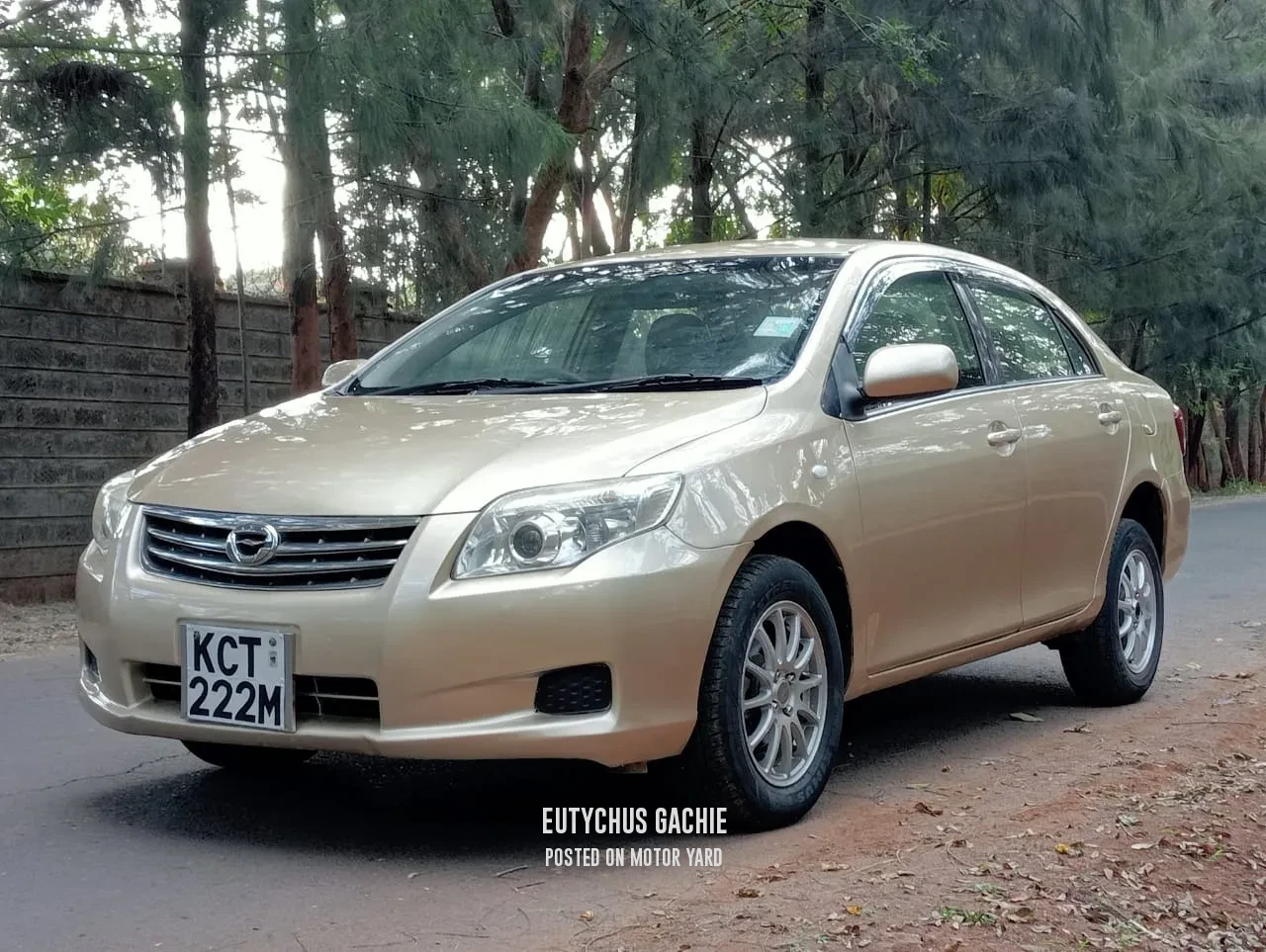 Toyota Axio 2010 Bronze