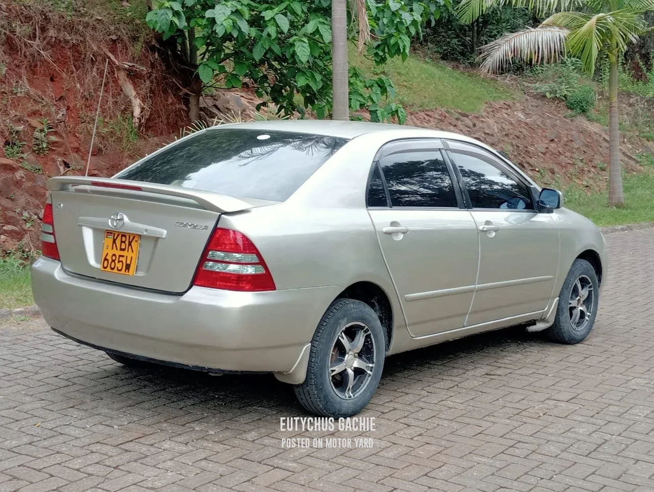 Toyota Corolla 2002 Bronze