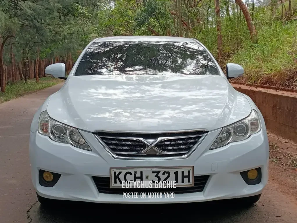 Toyota Mark X 2010 White