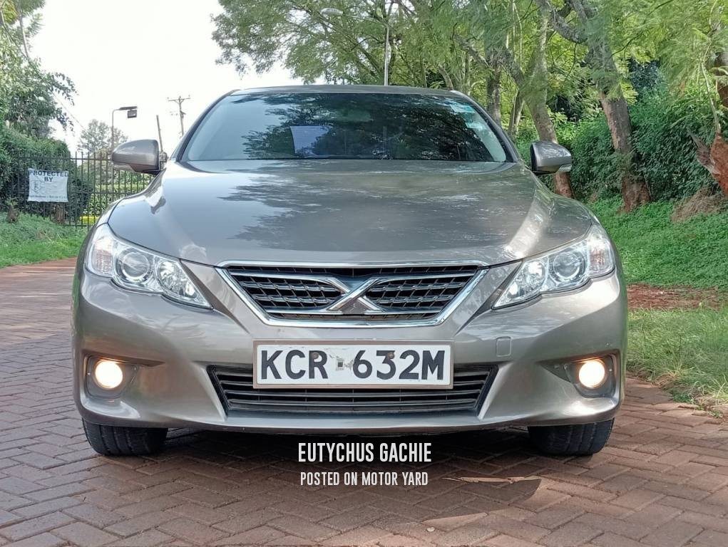 Toyota Mark X 2012 Brown