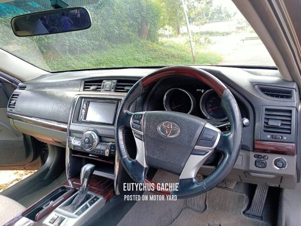 Toyota Mark X 2012 Brown