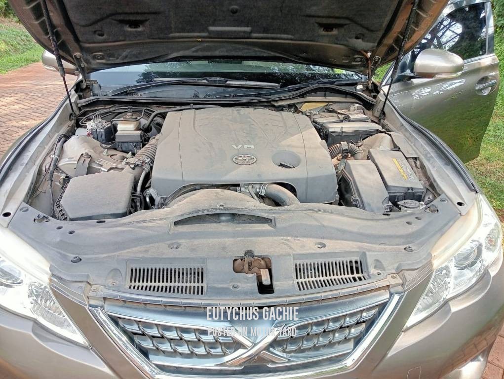 Toyota Mark X 2012 Brown