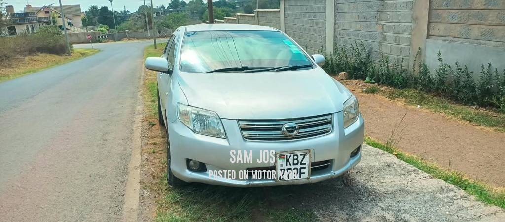 Toyota Axio 2007 Silver