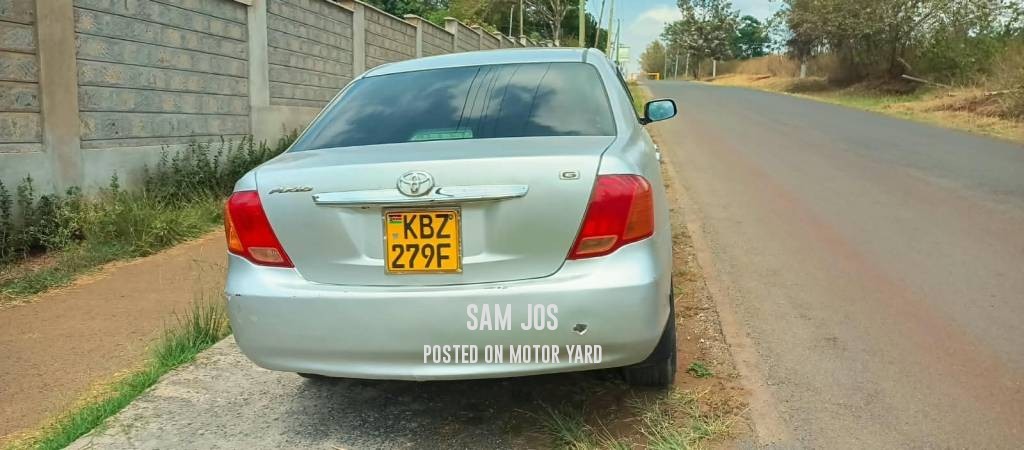 Toyota Axio 2007 Silver