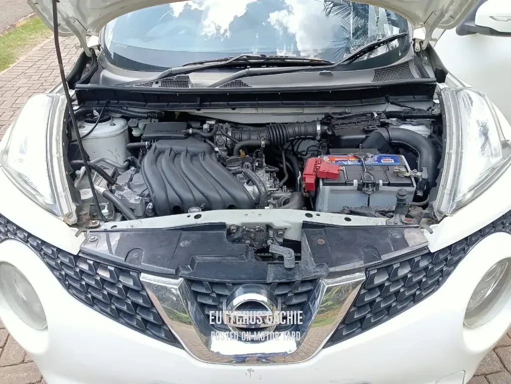 Nissan Juke 2015 White