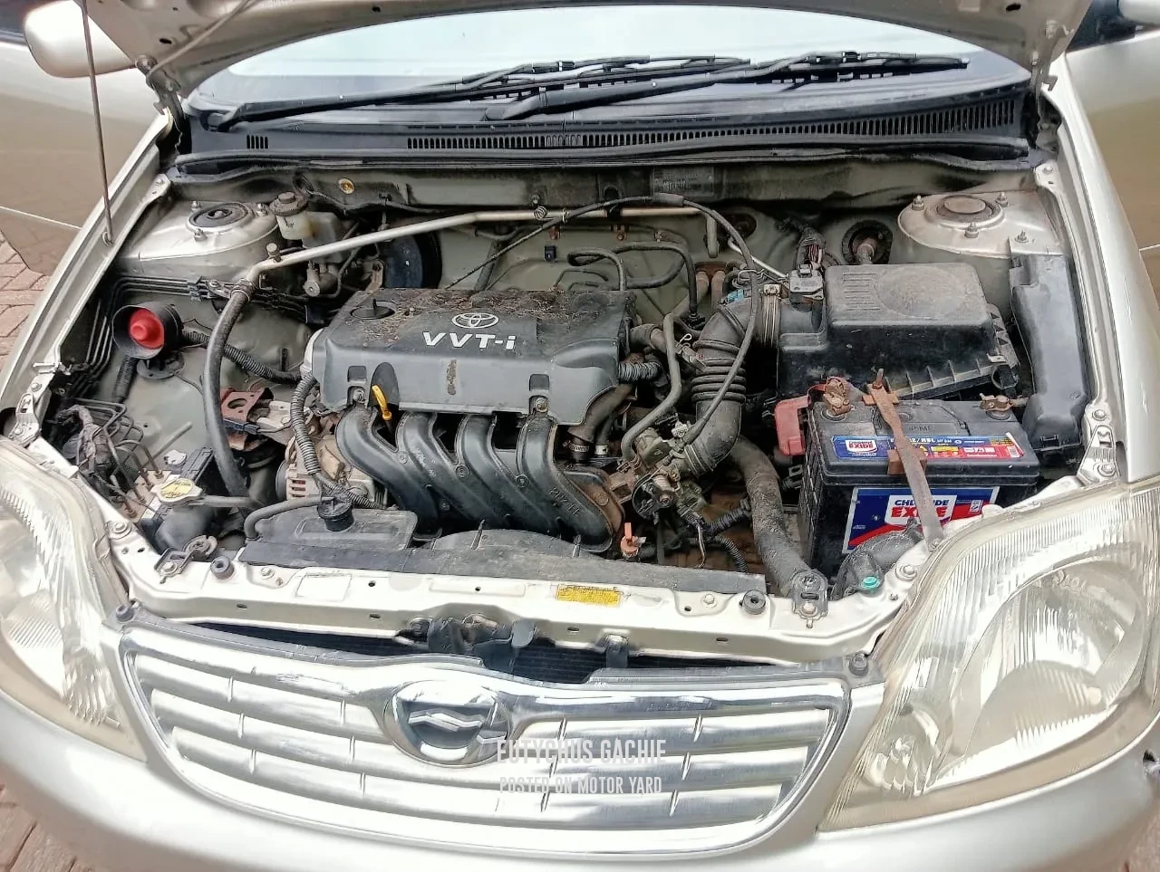 Toyota Corolla 2002 Bronze