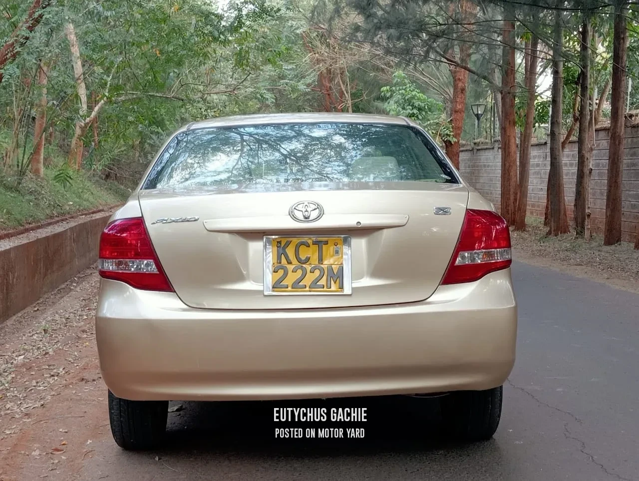 Toyota Axio 2010 Bronze