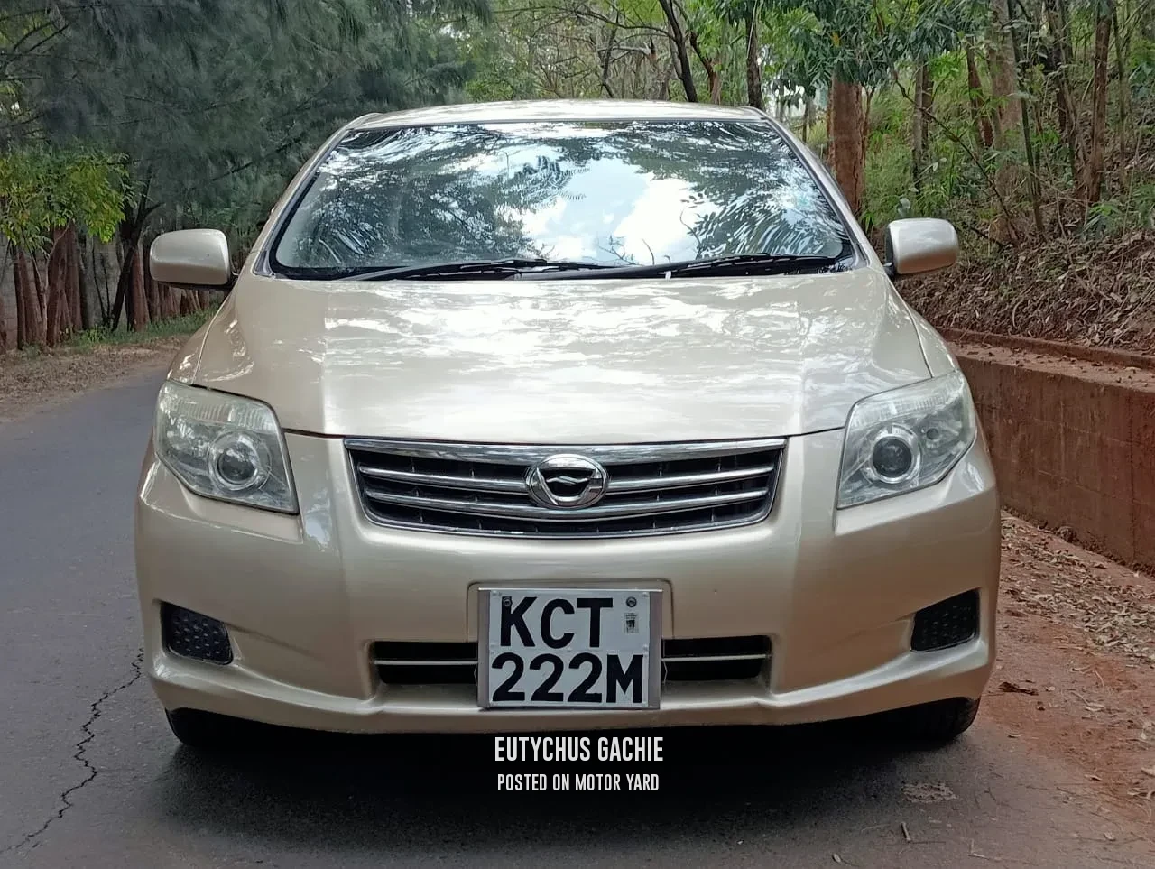 Toyota Axio 2010 Bronze