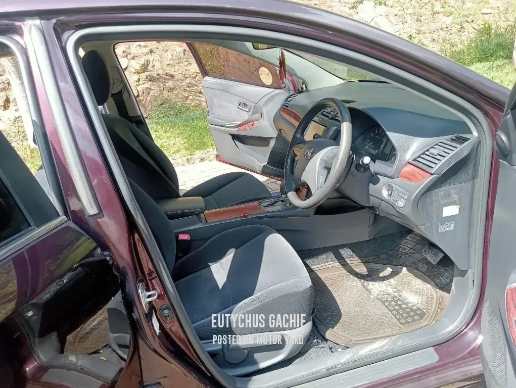 Toyota Premio 2009 Maroon