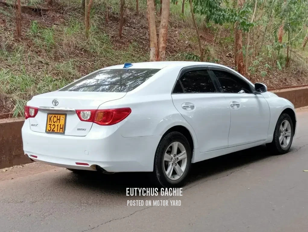 Toyota Mark X 2010 White