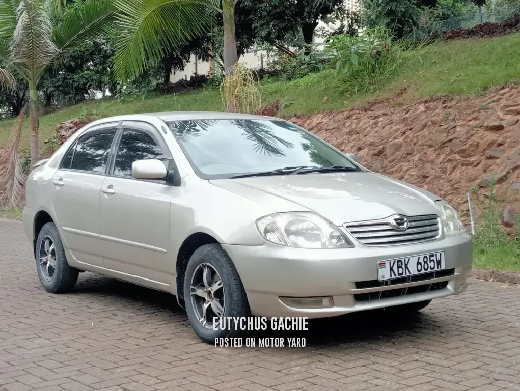 Toyota Corolla 2002 Bronze
