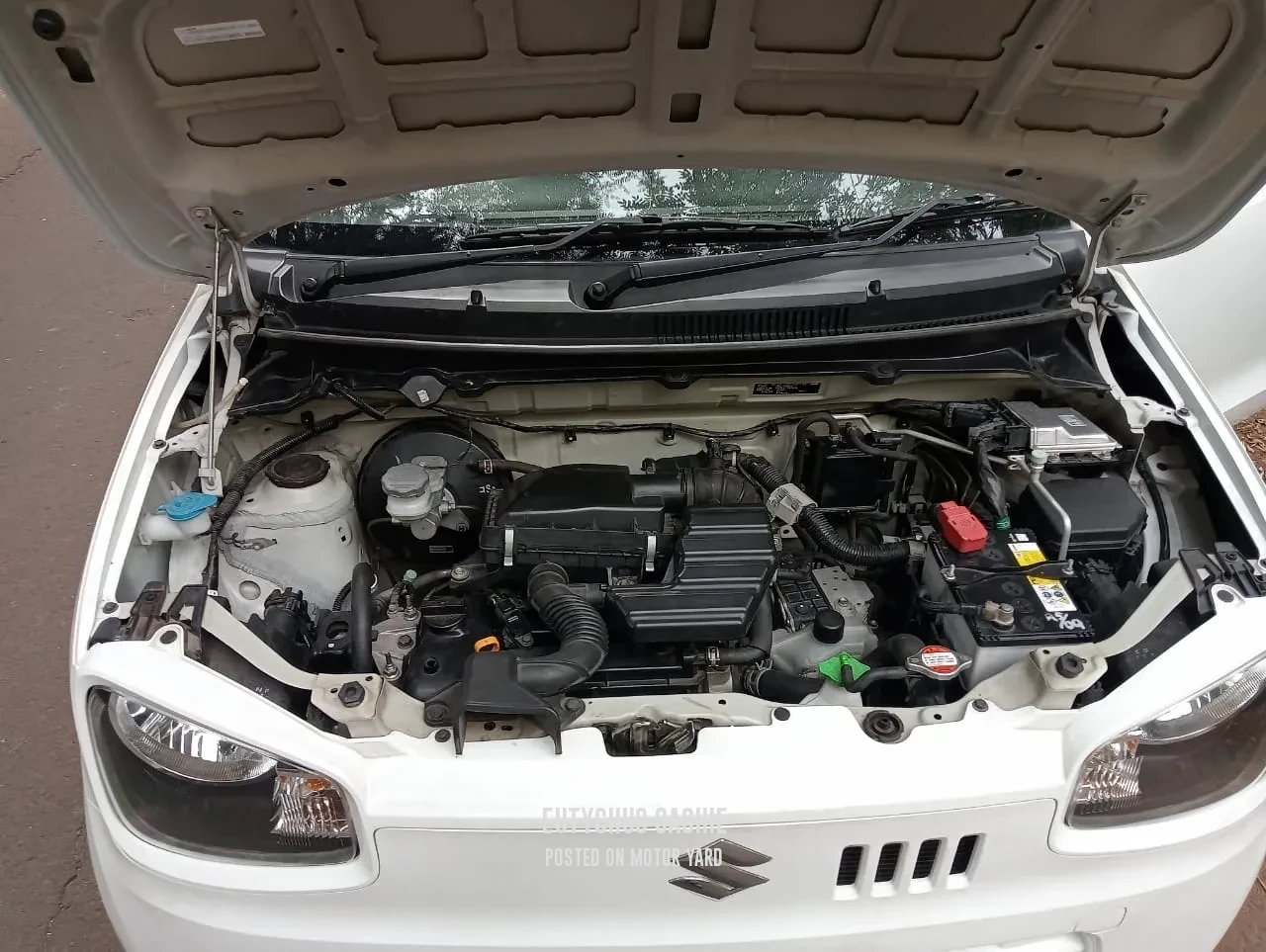 Suzuki Alto 2018 White