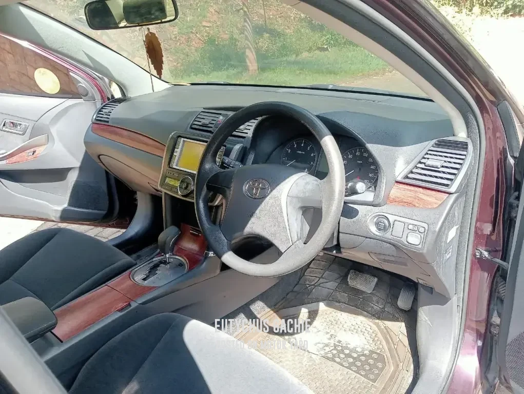 Toyota Premio 2009 Maroon