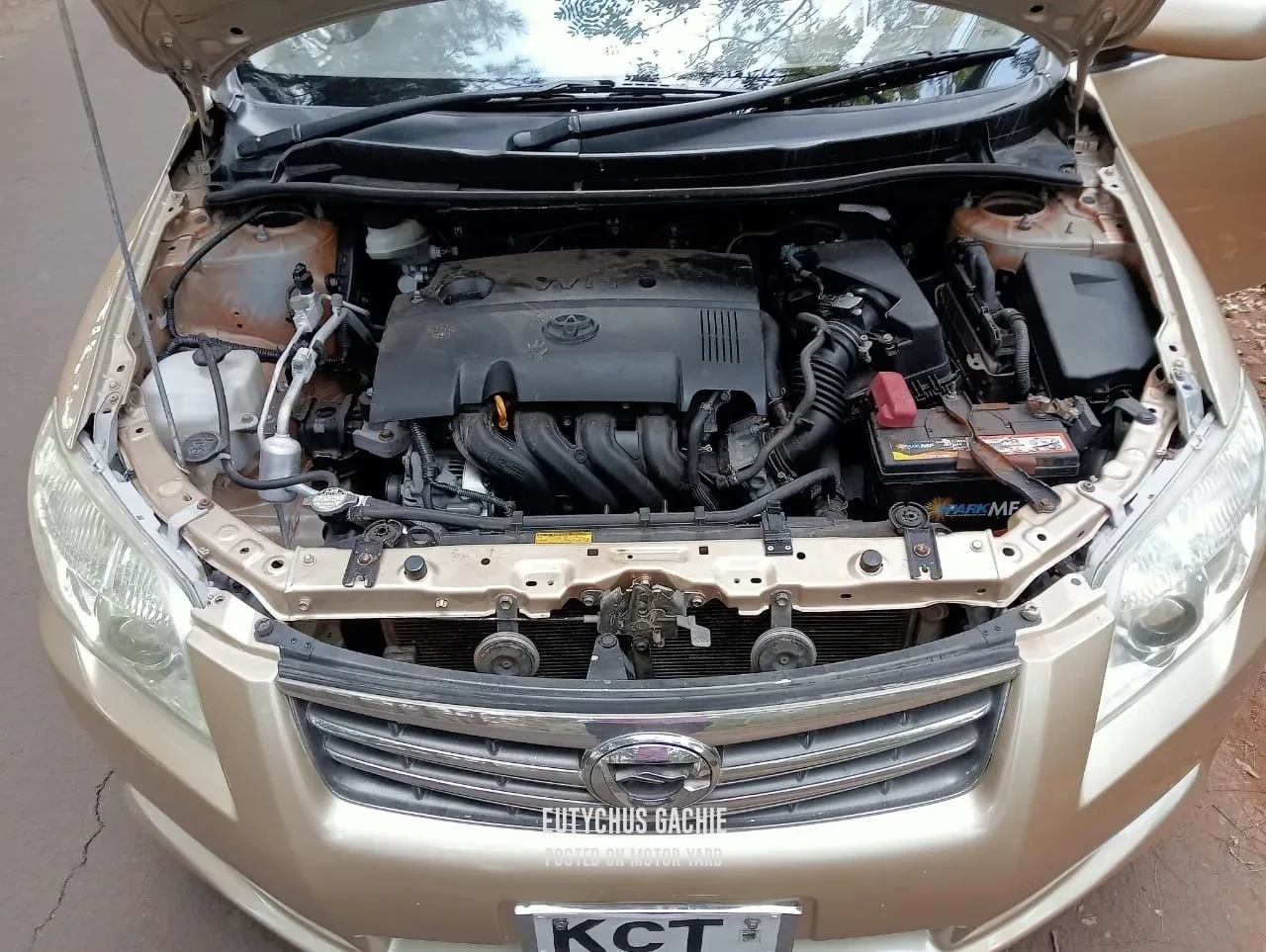 Toyota Axio 2010 Bronze