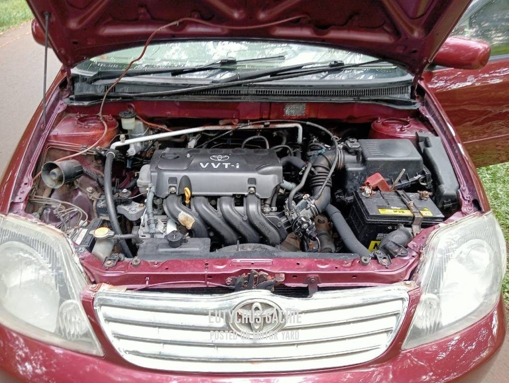 Toyota Fielder 2002 Red