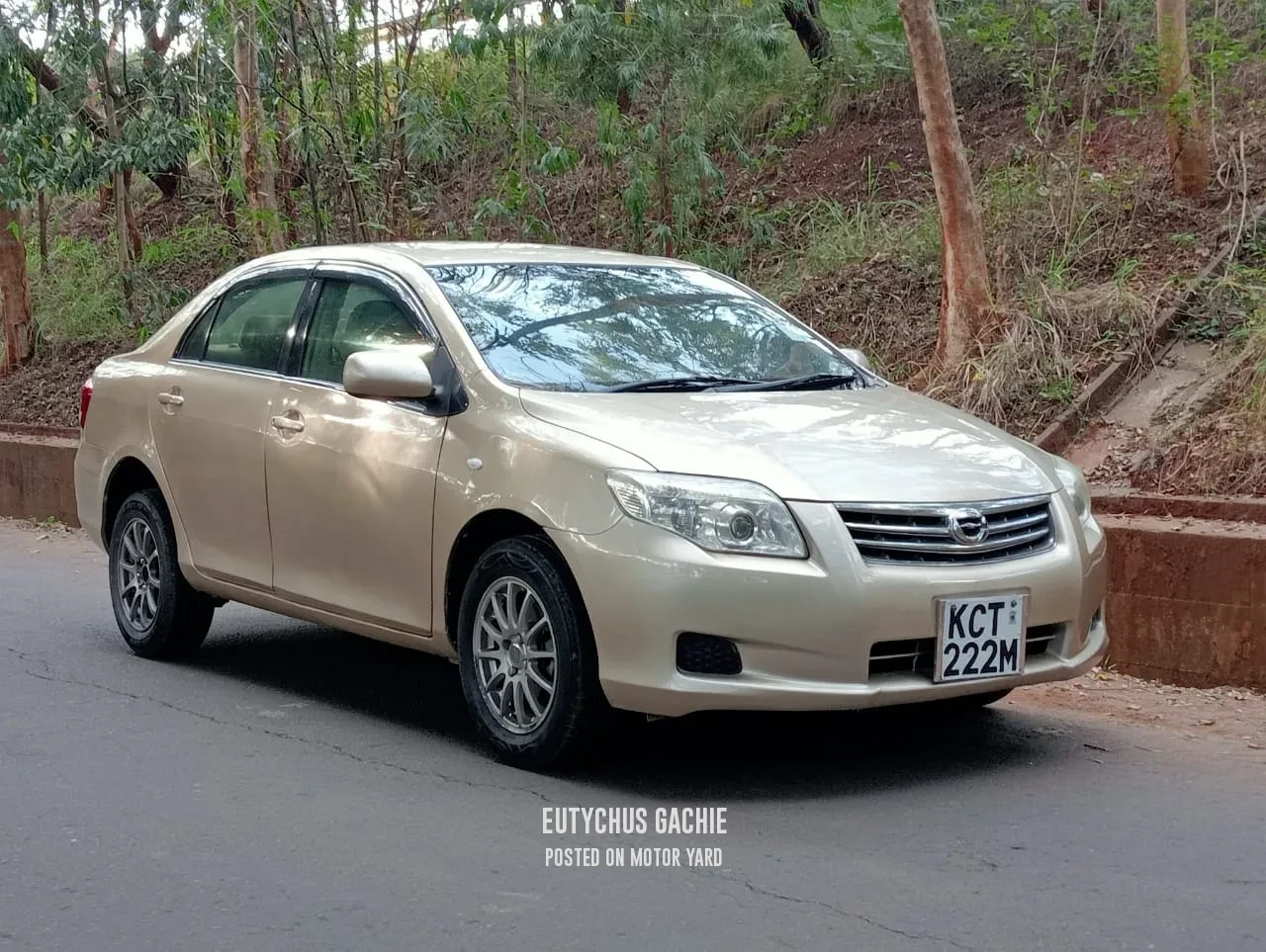 Toyota Axio 2010 Bronze