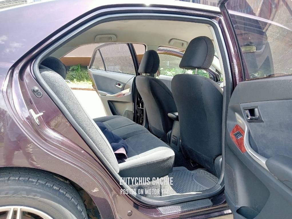 Toyota Premio 2011 Brown