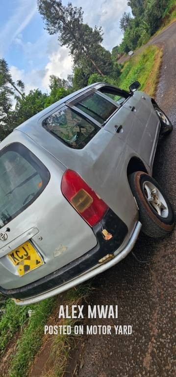 Toyota Probox 2011 Grey