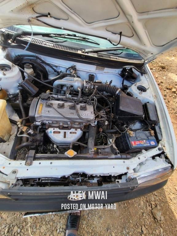 Toyota Corolla 2007 White