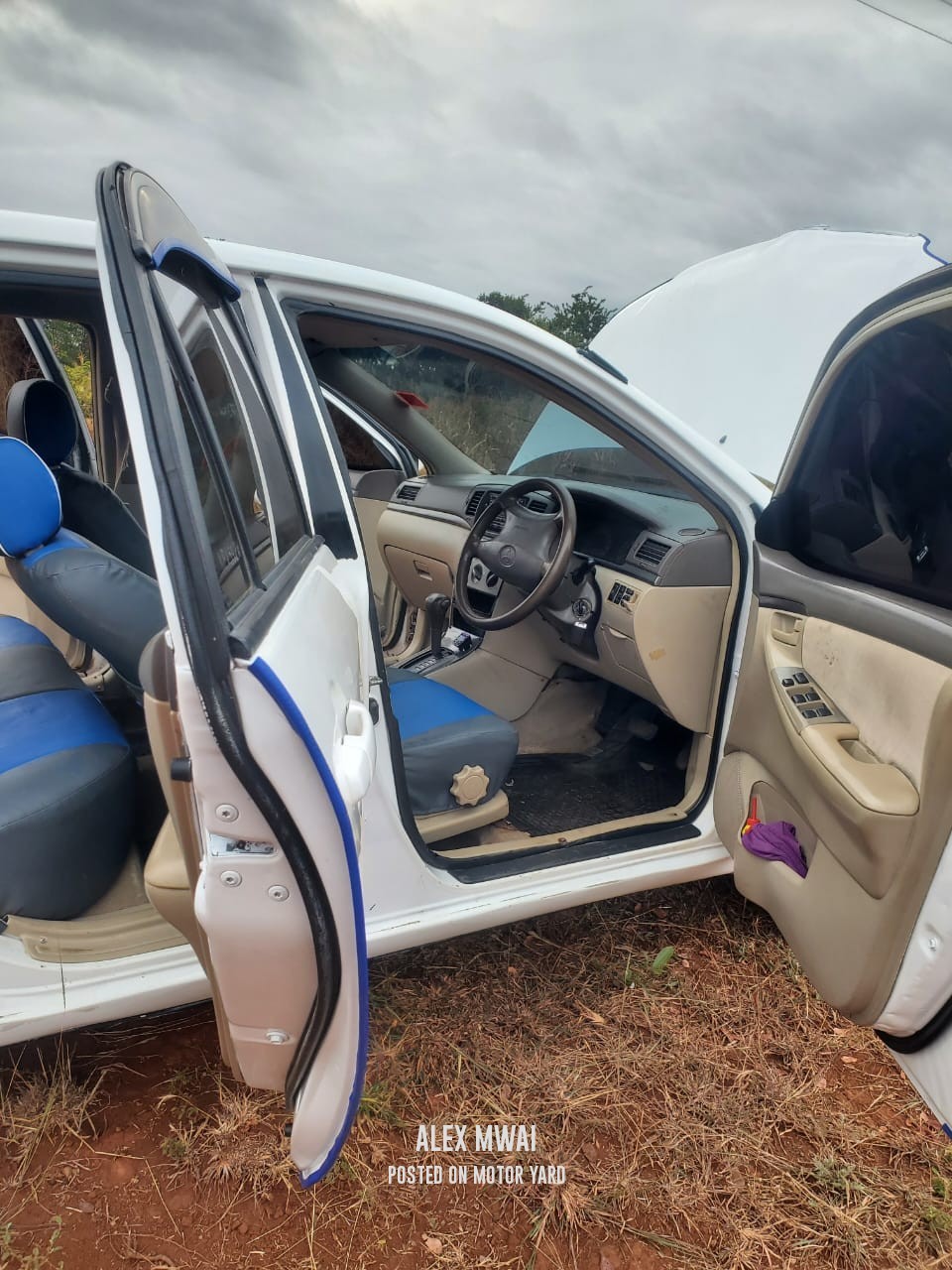 Toyota Corolla 2011 White