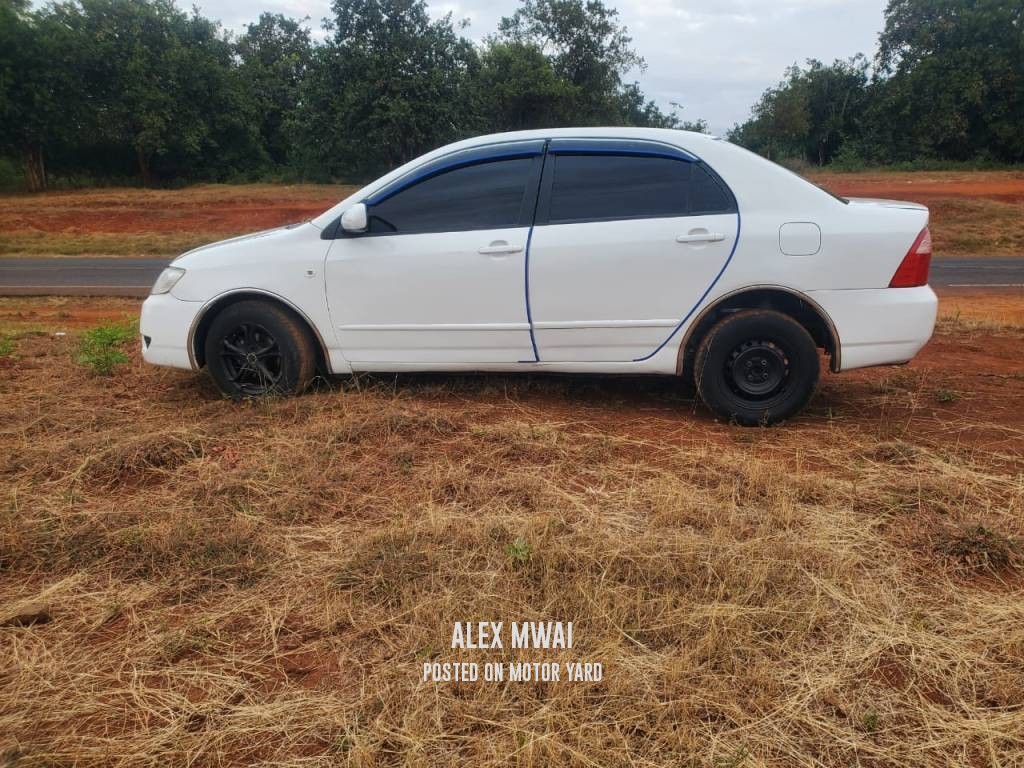 Toyota Corolla 2011 White