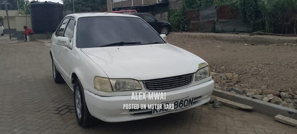 Toyota Corolla 2000 White