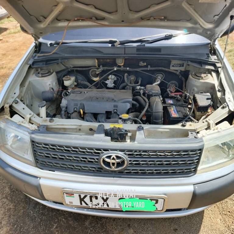 Toyota Probox 2019 Silver