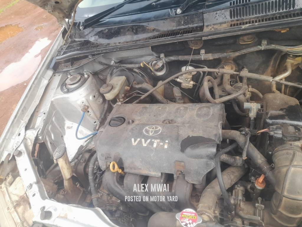 Toyota Probox 2018 White