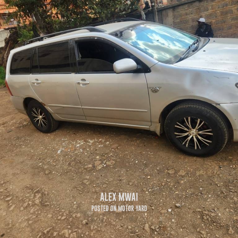 Toyota Fielder 2011 Grey