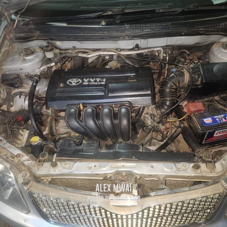 Toyota Fielder 2011 Grey