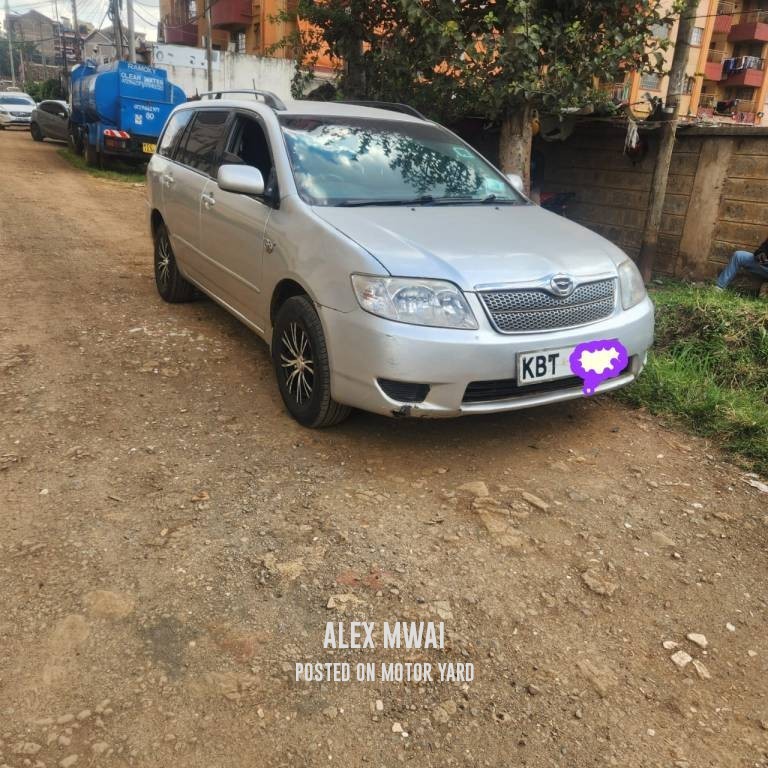 Toyota Fielder 2011 Grey