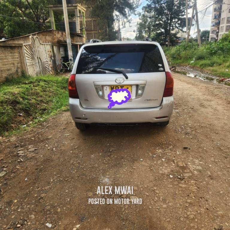 Toyota Fielder 2011 Grey