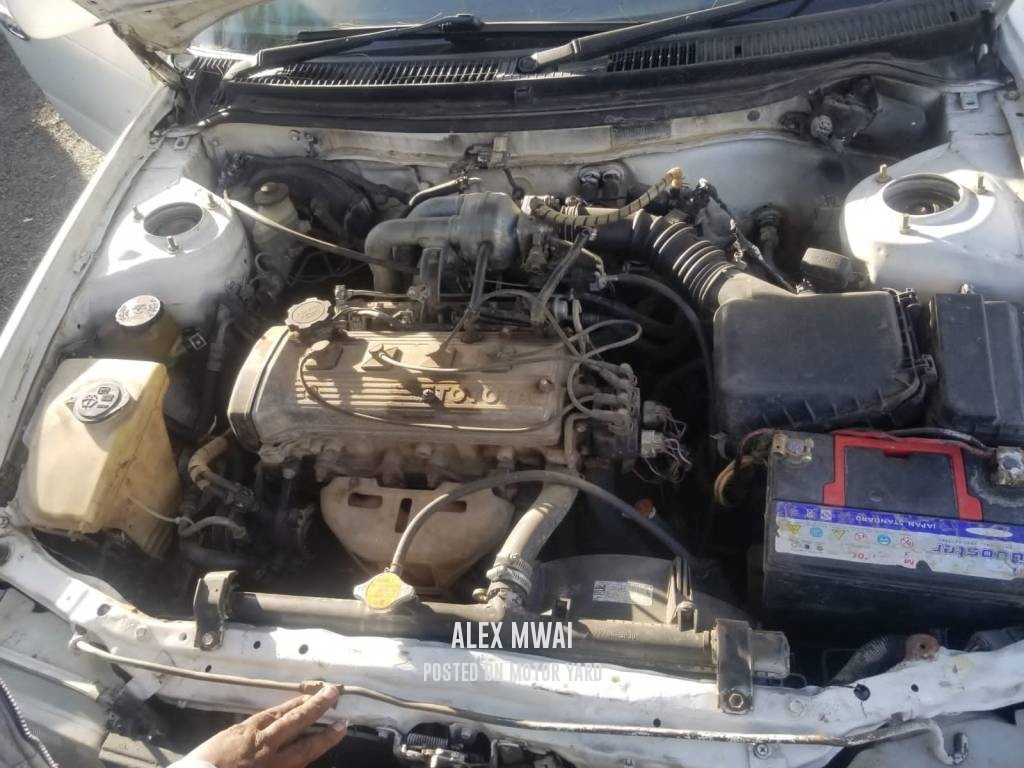 Toyota Corolla 2008 White