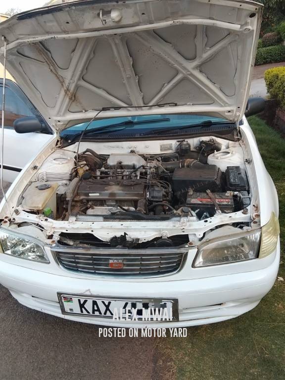 Toyota Corolla 2007 White