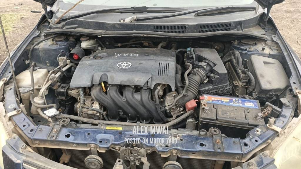 Toyota Axio 2010 Blue