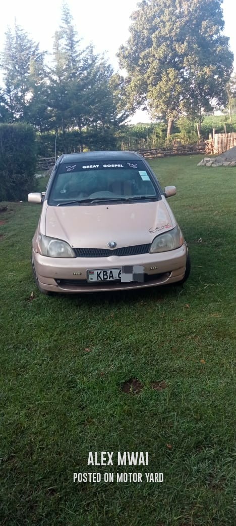 Toyota Platz 2006 Gold