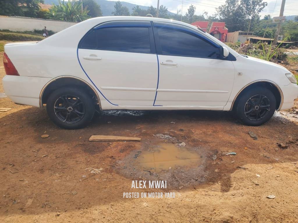 Toyota Corolla 2011 White