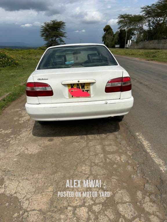 Toyota Corolla 2005 White