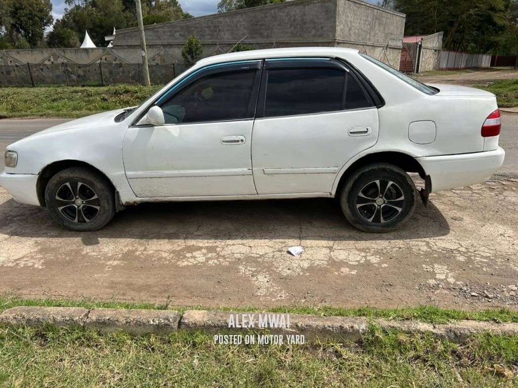 Toyota Corolla 2005 White