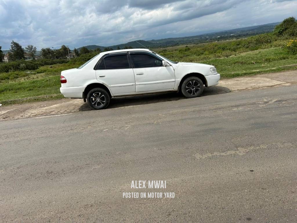 Toyota Corolla 2005 White