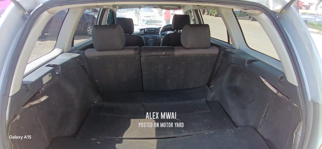 Toyota Fielder 2005 Silver