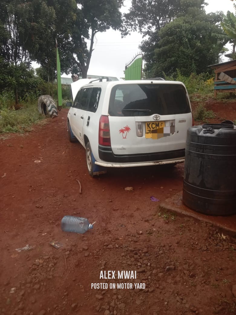 Toyota Probox 2011 White