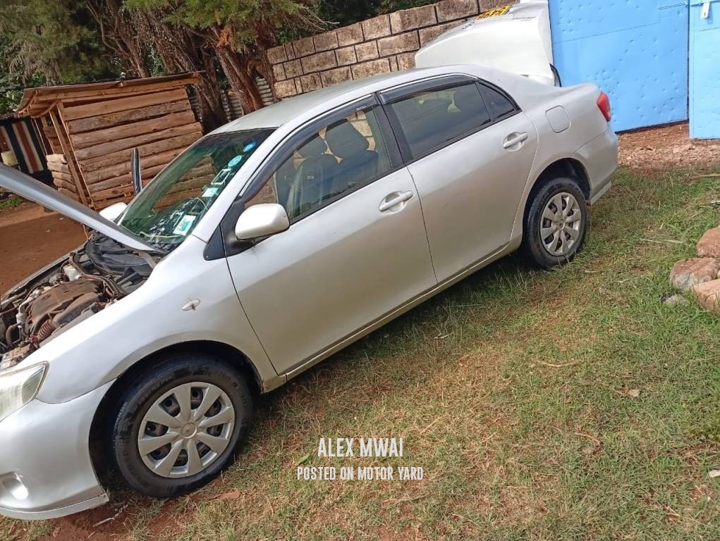 Toyota Axio 2011 Grey