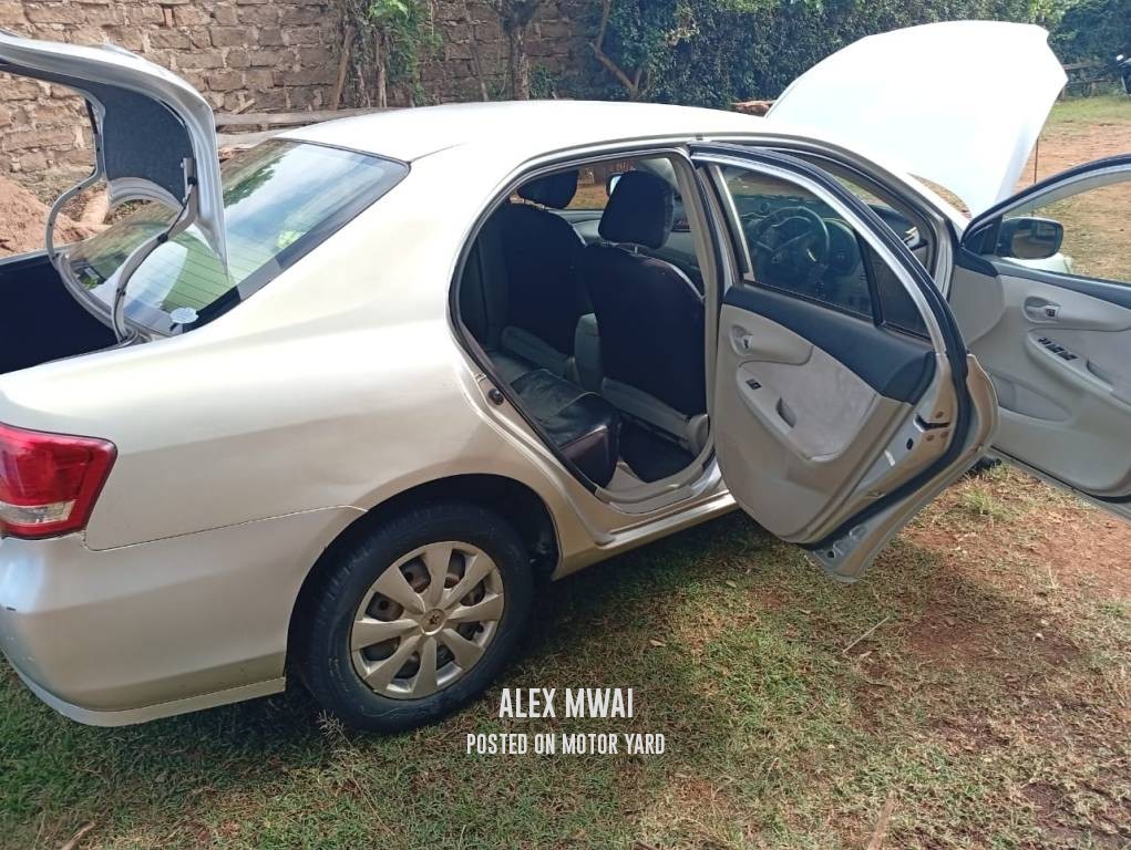 Toyota Axio 2011 Grey