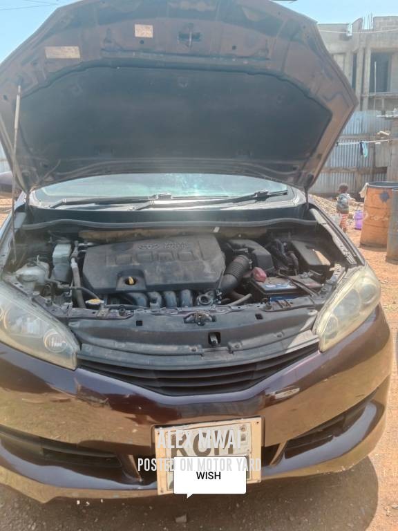 Toyota Wish 2010 Bronze