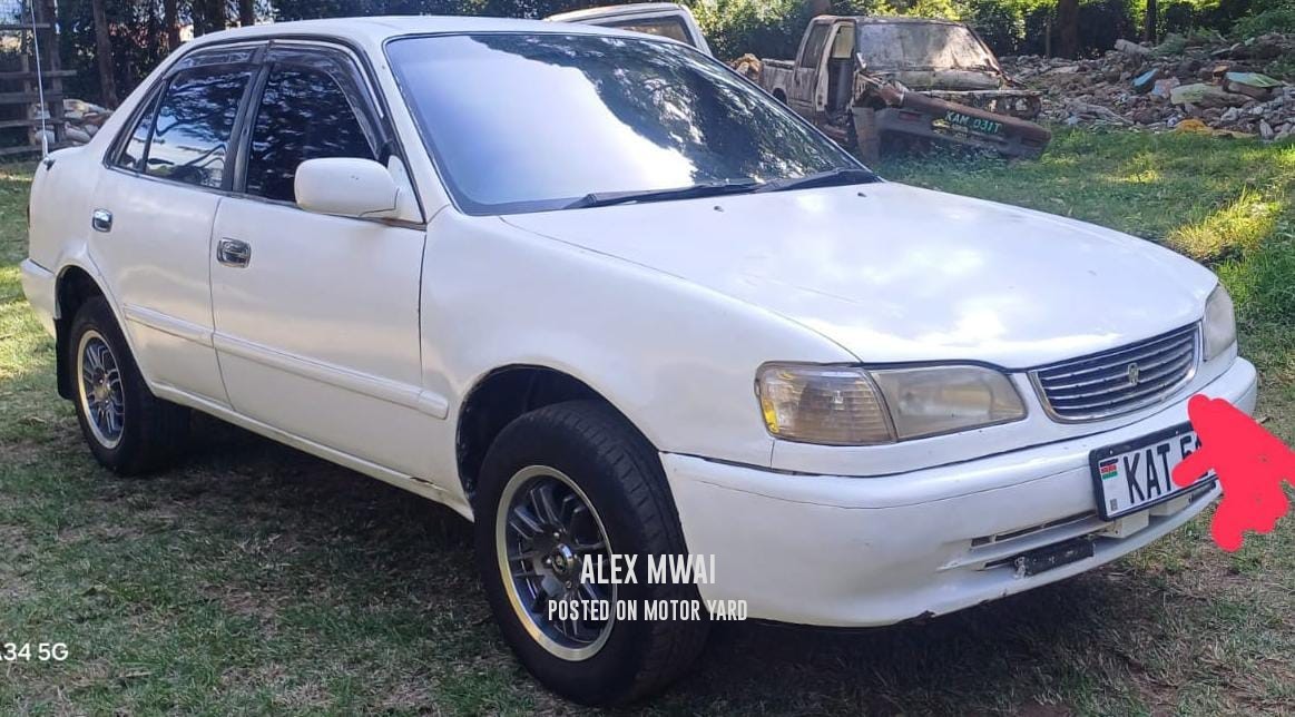 Toyota Corolla 2005 White