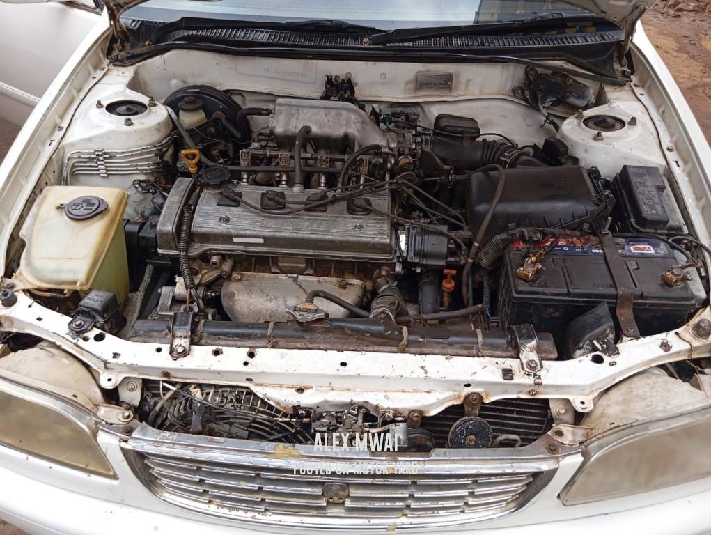 Toyota Corolla 2005 White