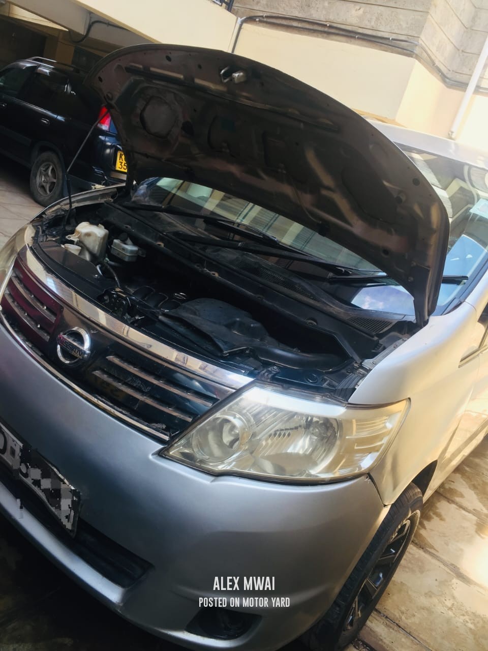 Nissan Serena 2011 Brown