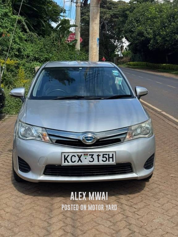 Toyota Fielder 2013 Grey